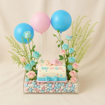 Pink & Blue Baby Shower Combo