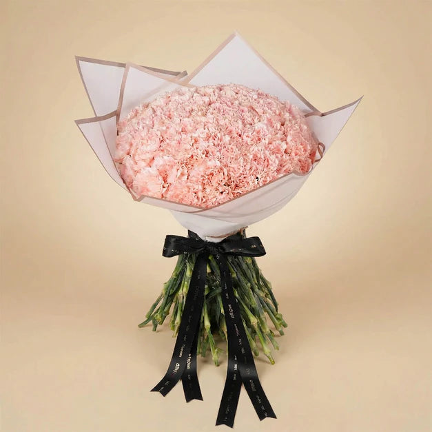 Pink Carnation Bouquet | 75 Flowers